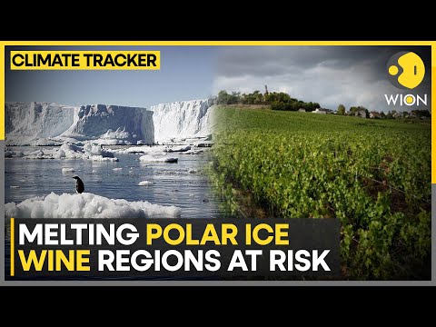 Melting poles slowing earth’s rotation | Climate change threatens Wines | WION Climate Tracker [Video]