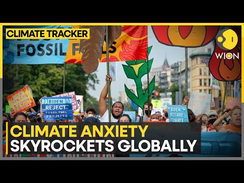 Gen Z rates climate change as its top concern: Study | WION Climate Tracker [Video]
