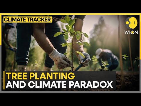 Planting trees in wrong places could lead to global warming: Study | Climate Tracker | WION [Video]
