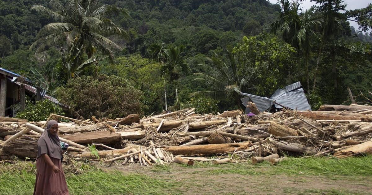 In Indonesia, deforestation is intensifying disasters from severe weather and climate change [Video]