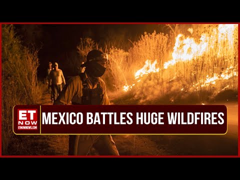 Mexico Faces Forest Fires Amid Severe Drought | How Much Damage Has Been Caused | World News [Video]