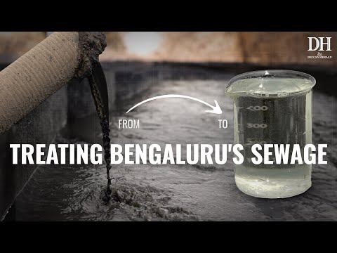 How Bengaluru recovers sewage water | Can recycled water solve Bengaluru’s water problem [Video]