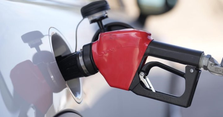 Vancouver has highest fuel prices and highest fuel tax in North America, expert says [Video]