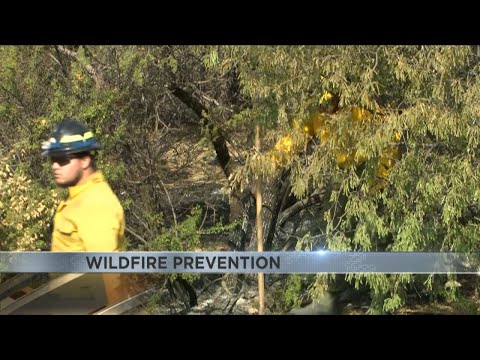 Wildfire season officially begun [Video]