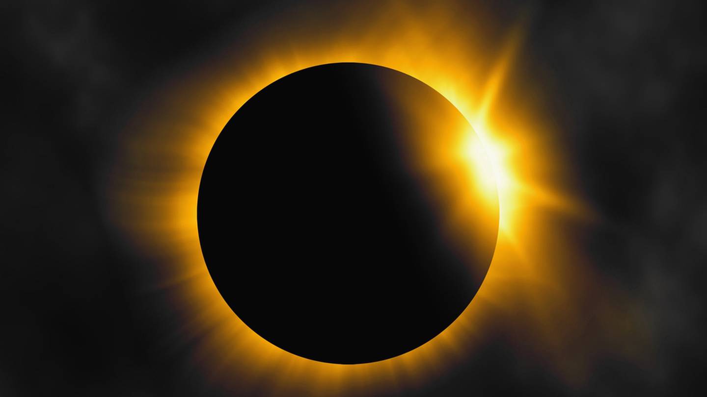 Will the solar eclipse affect animals, plants?  WHIO TV 7 and WHIO Radio [Video]