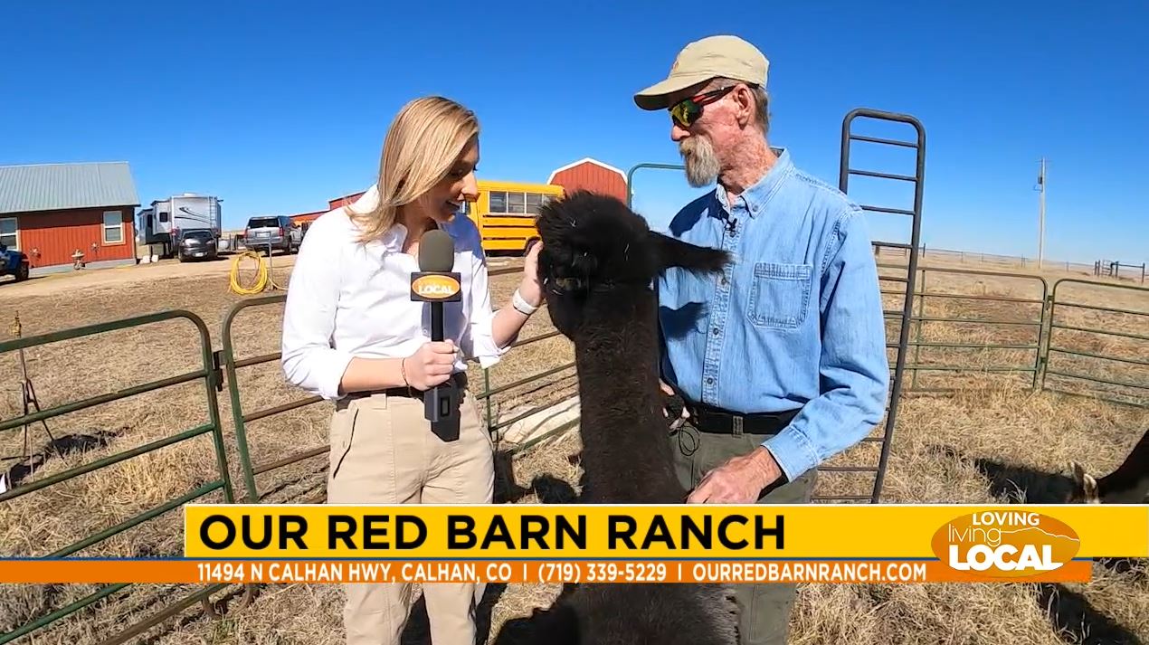 Visit Our Red Barn Ranch and experience life on the farm [Video]