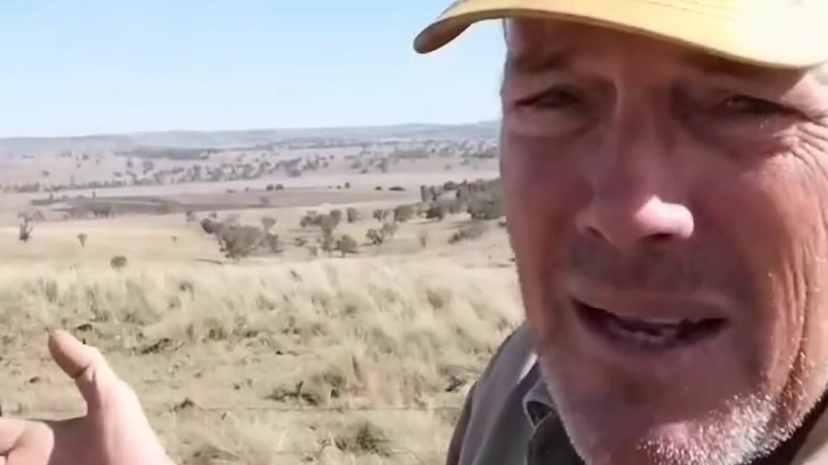 Farmer Grant Piper slams ABC for ‘hiding the truth’ about wind turbines, claiming it selectively edited a 7.30 story [Video]