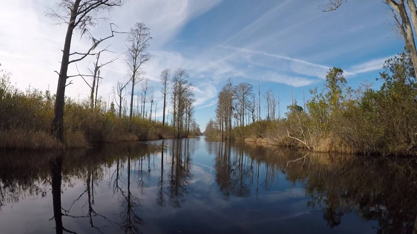 Leonardo DiCaprio urges action to protect Okefenokee Swamp in Georgia  WSB-TV Channel 2 [Video]