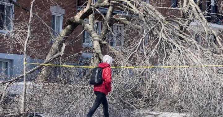 Hydro-Qubec expects to fix remaining power outages from Thursday storm by end of day [Video]