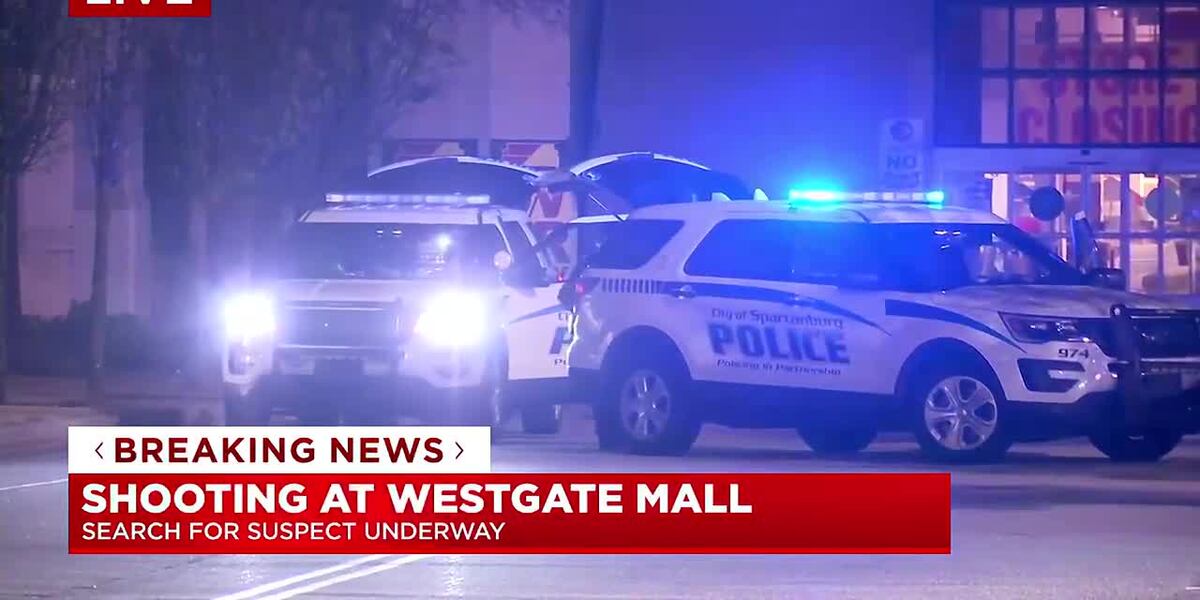 Westgate Mall Shooting Leaves One Man Injured [Video]