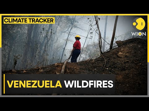 Wildfires hit Venezuela during climate driven drought | WION Climate Tracker [Video]
