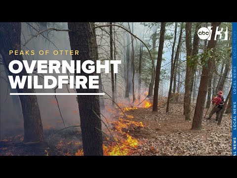 Overnight wildfire reported near Peaks of Otter at Blue Ridge Parkway contained [Video]