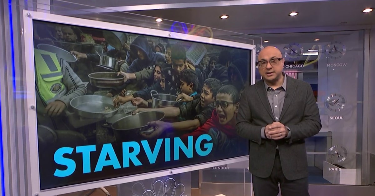 Gaza is starving. This is what its like to be dying of hunger. [Video]