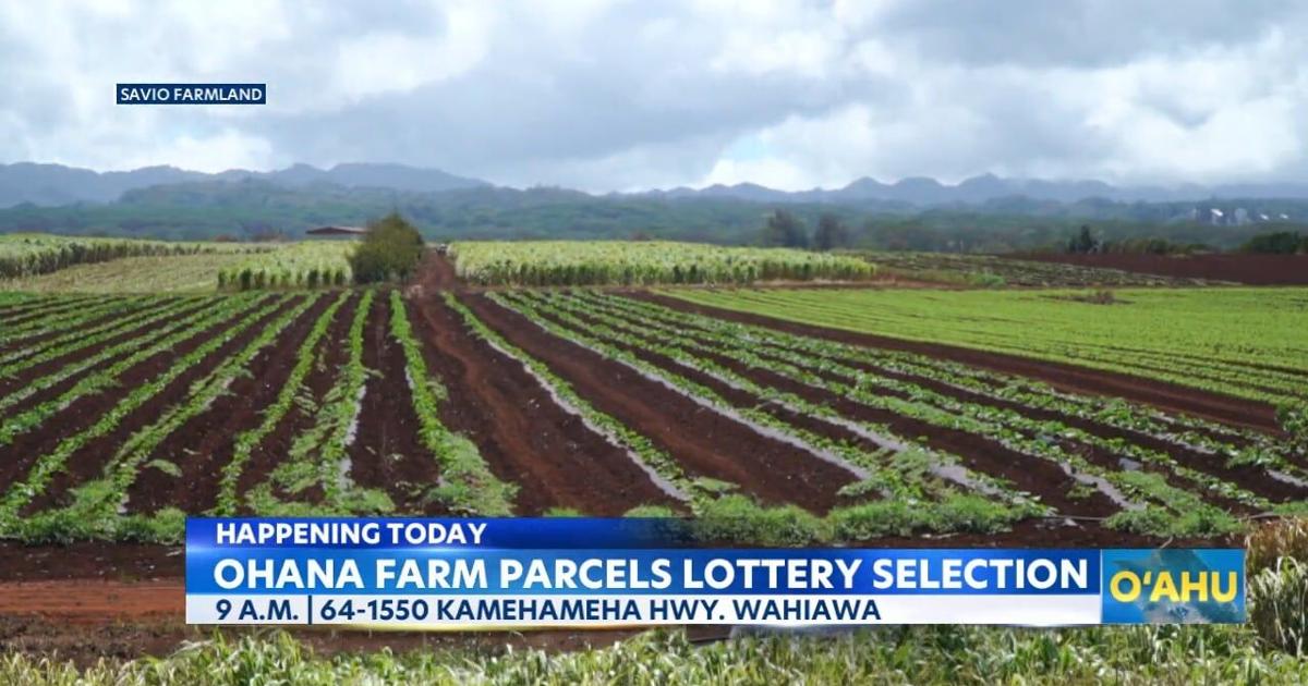 Wahiawa land lease event for farmers today | Video