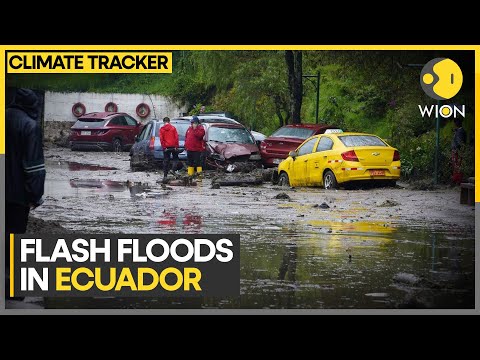 Flash Floods in Ecuador kills at least 1 | WION Climate Tracker [Video]