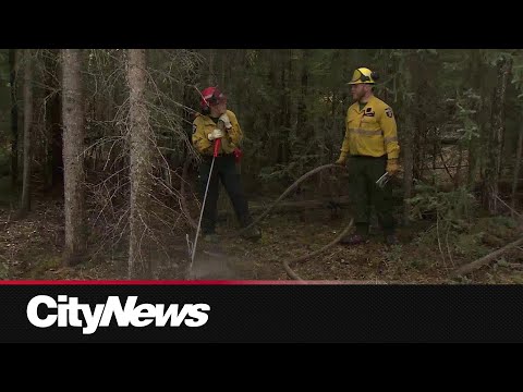 New recruits training for wildfire season in Alberta [Video]
