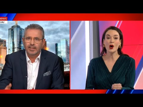 ‘It’s not viable’: Sky News host and panellist clash over renewables [Video]