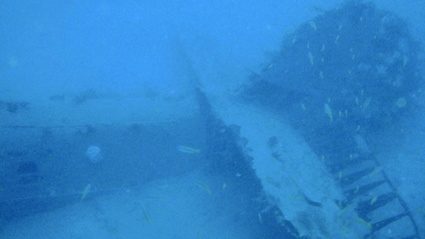 Australian bomber shot down with 4 crew in 1943 identified off the coast of Papua New Guinea  WSB-TV Channel 2 [Video]