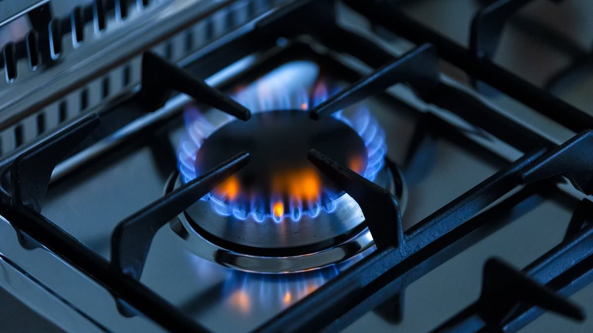 Biden administration put PRESSURE on fact-checkers to change the rating on claims it was going to ban gas stoves, damning internal emails reveal [Video]