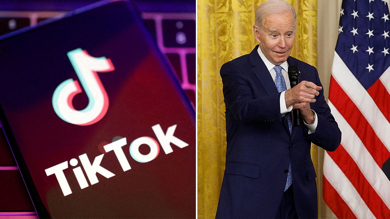 Massive pro-Democrat TikTok account that supported Biden in 2020 has soured on president [Video]