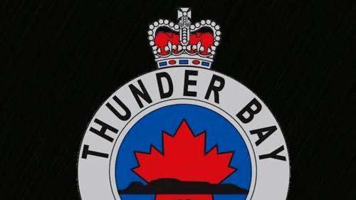 Former Thunder Bay police chief arrested, charged with 2 counts of obstructing justice [Video]