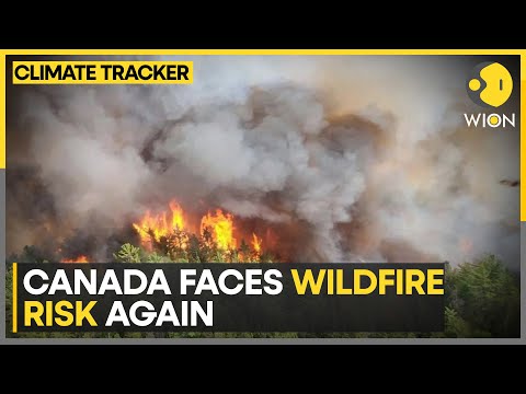 Canada risks another ‘catastrophic’ wildfire season, government says | WION Climate Tracker [Video]