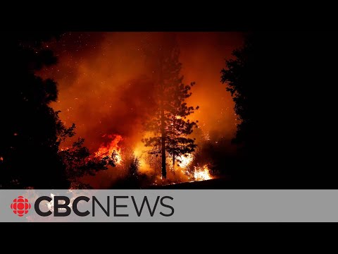 Canada at risk of another devastating wildfire season, federal government warns [Video]