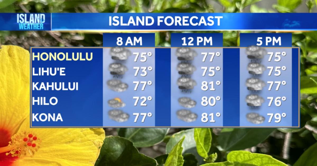 Sunday Morning Weather – Weather Alert Day as a second round of rain creates a flood risk | Local [Video]