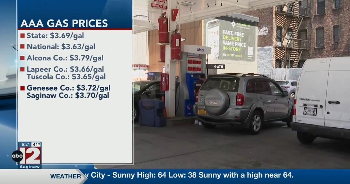 Michigan gas price average jumps 19 cents | Video