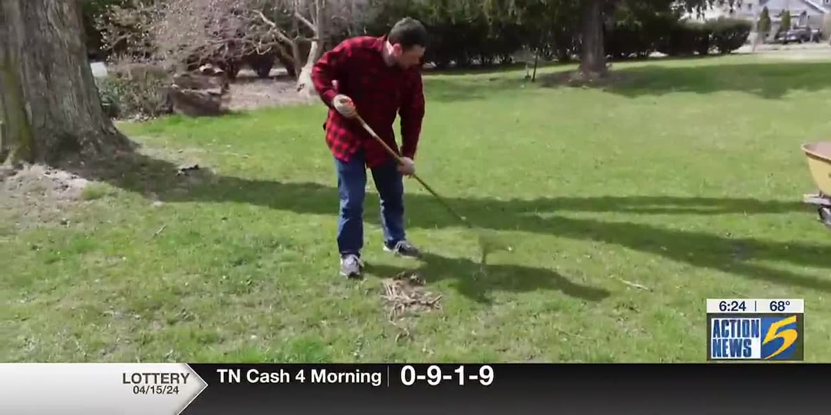 Bottom Line: Best tools to clean up your yard [Video]
