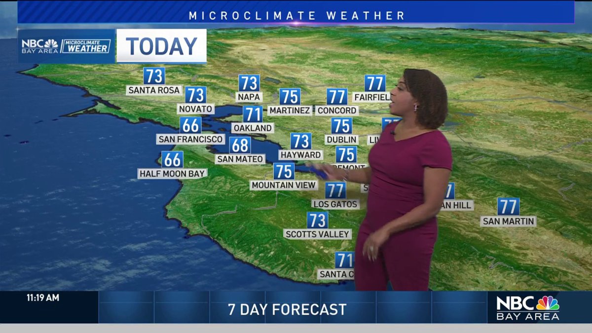 Warmer sunshine  NBC Bay Area [Video]