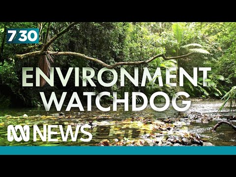 Federal government announces new environment watchdog | 7.30 [Video]