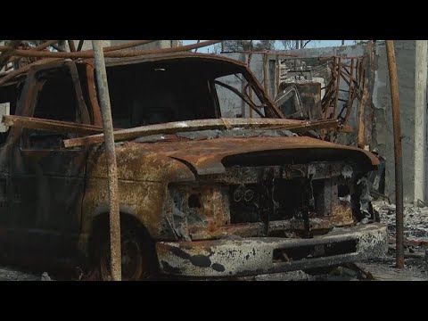 Judge sets first trial date in Maui wildfire cases [Video]