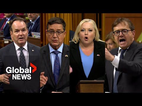 Liberals accuse Conservatives of “hypocrisy, collective amnesia” for carbon pricing dismissal [Video]