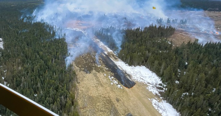 Yellowhead County burst pipeline investigation underway as wildfire brought under control [Video]