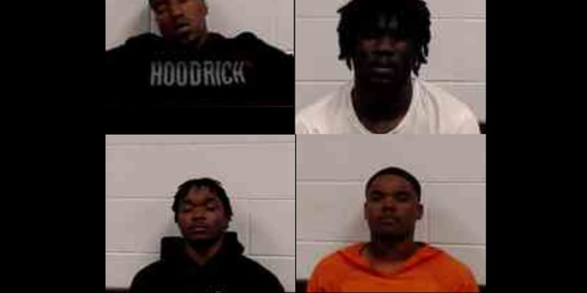 4 arrested after shooting at Wynne block party [Video]