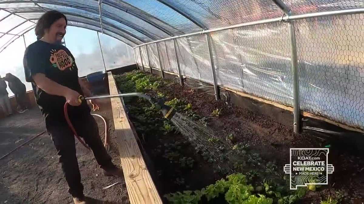 Cultivating the future: New Mexico-made greenhouses teach students importance of plants [Video]