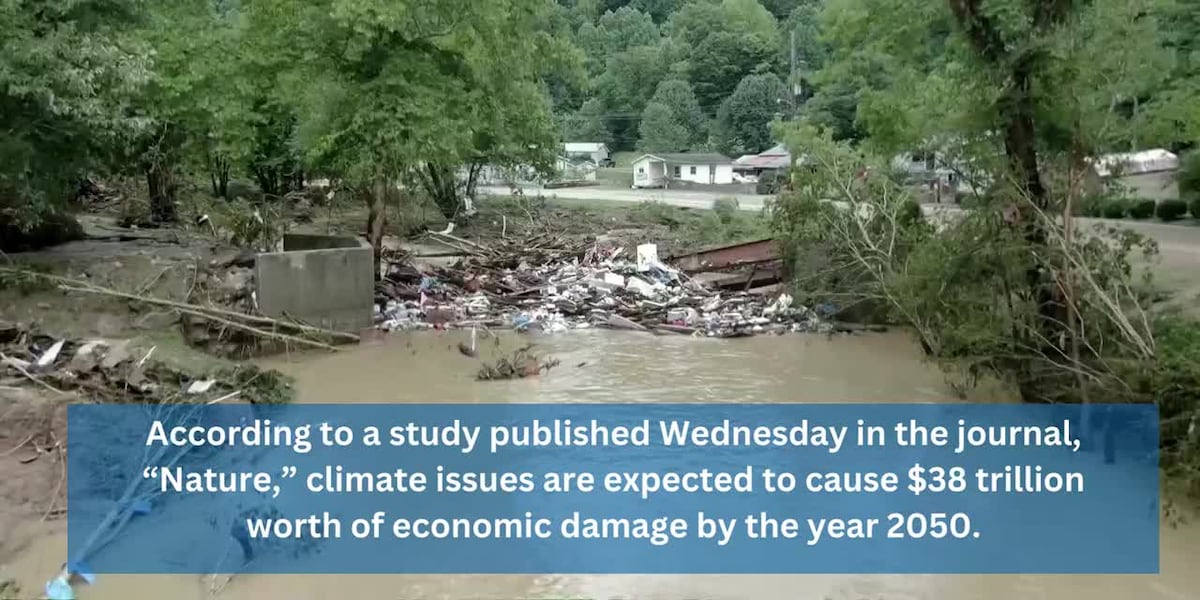 New study says climate change will make you poorer [Video]
