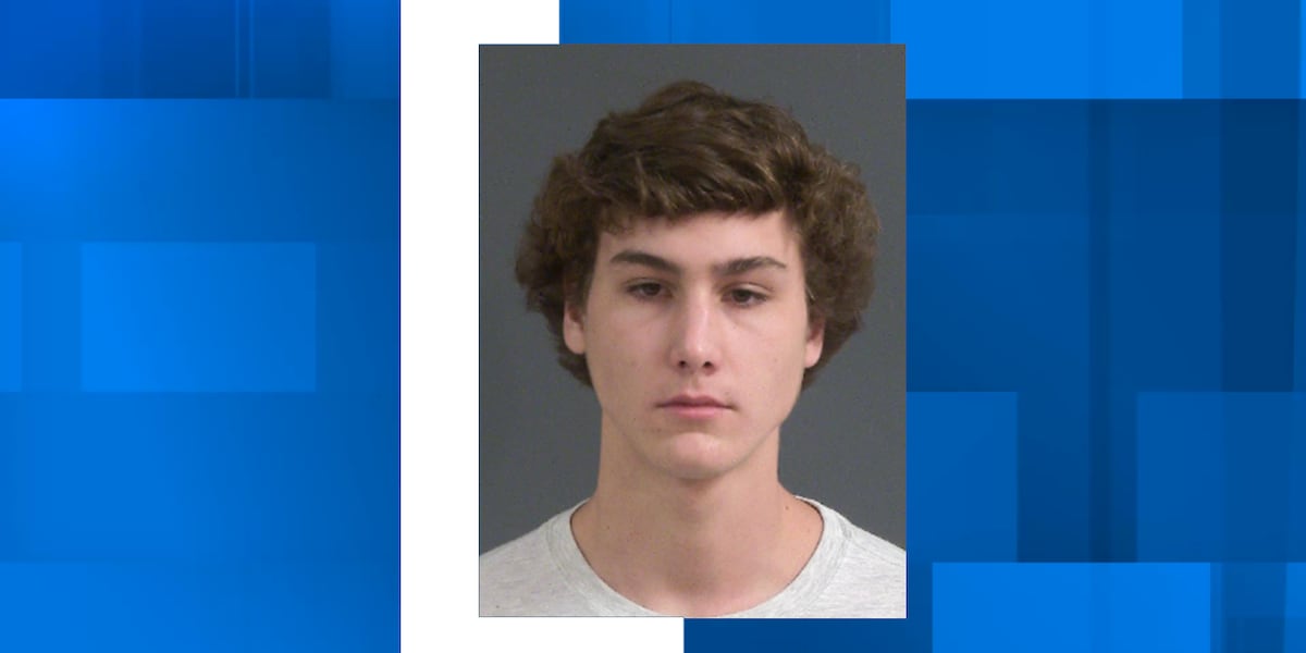 SC congressional candidates 18-year-old son charged with assault [Video]