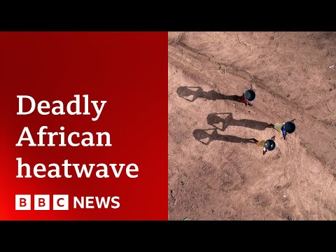 Deadly Africa heat caused by climate change, scientists say | BBC News [Video]