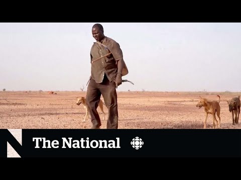 Deadly West African heat wave driven by climate change, scientists say [Video]
