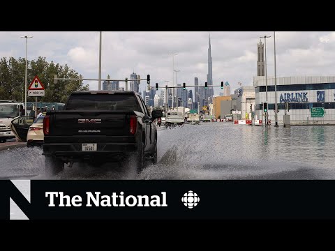 Dubai hit with a year’s worth of rain in a day [Video]