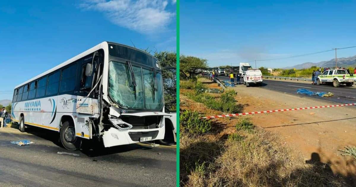 8 Die in Limpopo Crash Between Truck and Bus, South Africans Devastated [Video]