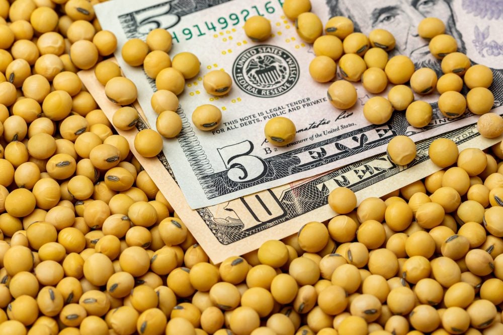 U.S. grains: Soy, corn futures rally on bargain buying, geopolitical tensions [Video]