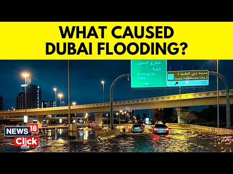 Dubai Rain Havoc: Know What Caused The Heavy Rainfall – Cloud Seeding Or Climate Change? | N18V [Video]