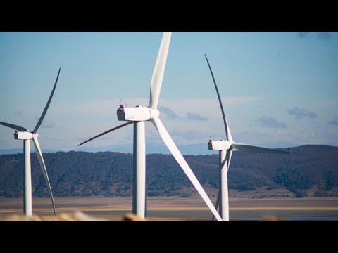 Wind and solar ‘destroy’ environment ‘they’re there to protect’: David Littleproud [Video]
