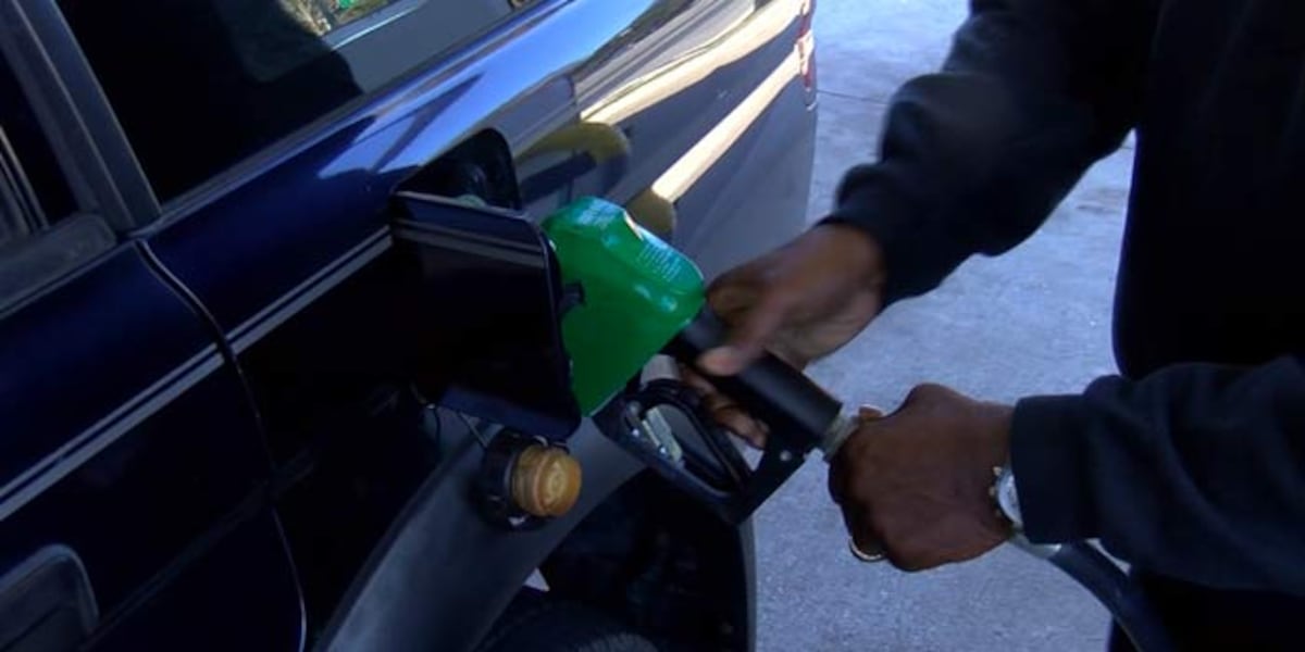 SC gas prices nearly flat over previous week as national price rises [Video]