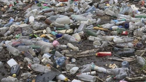 Earth Day: Ocean plastic pollution [Video]