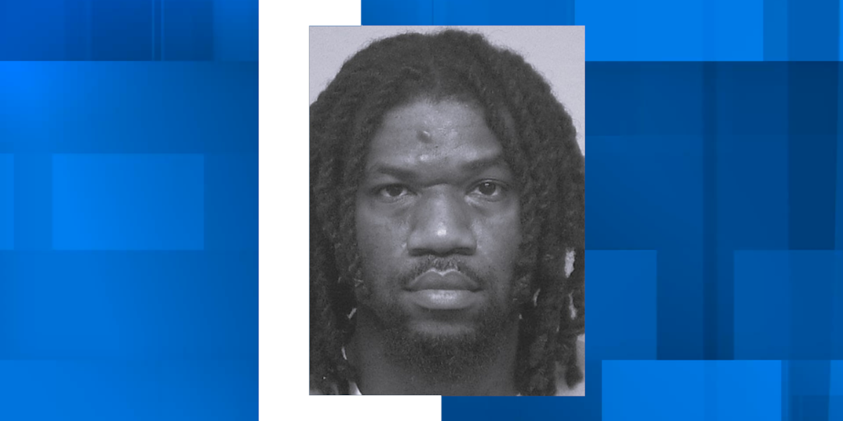 Deputies searching for man wanted in Beaufort Co. assault [Video]