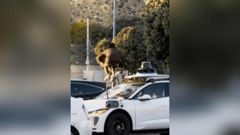 VIDEO: Person seen trashing Waymo car in California [Video]